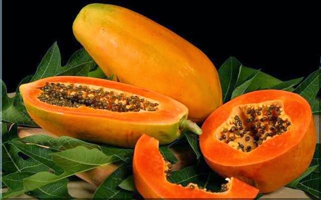 [[[PAPAINA]]] Enzima con la capacidad de digerir las proteínas, favorece la digestión, tiene efecto adelgazante.
